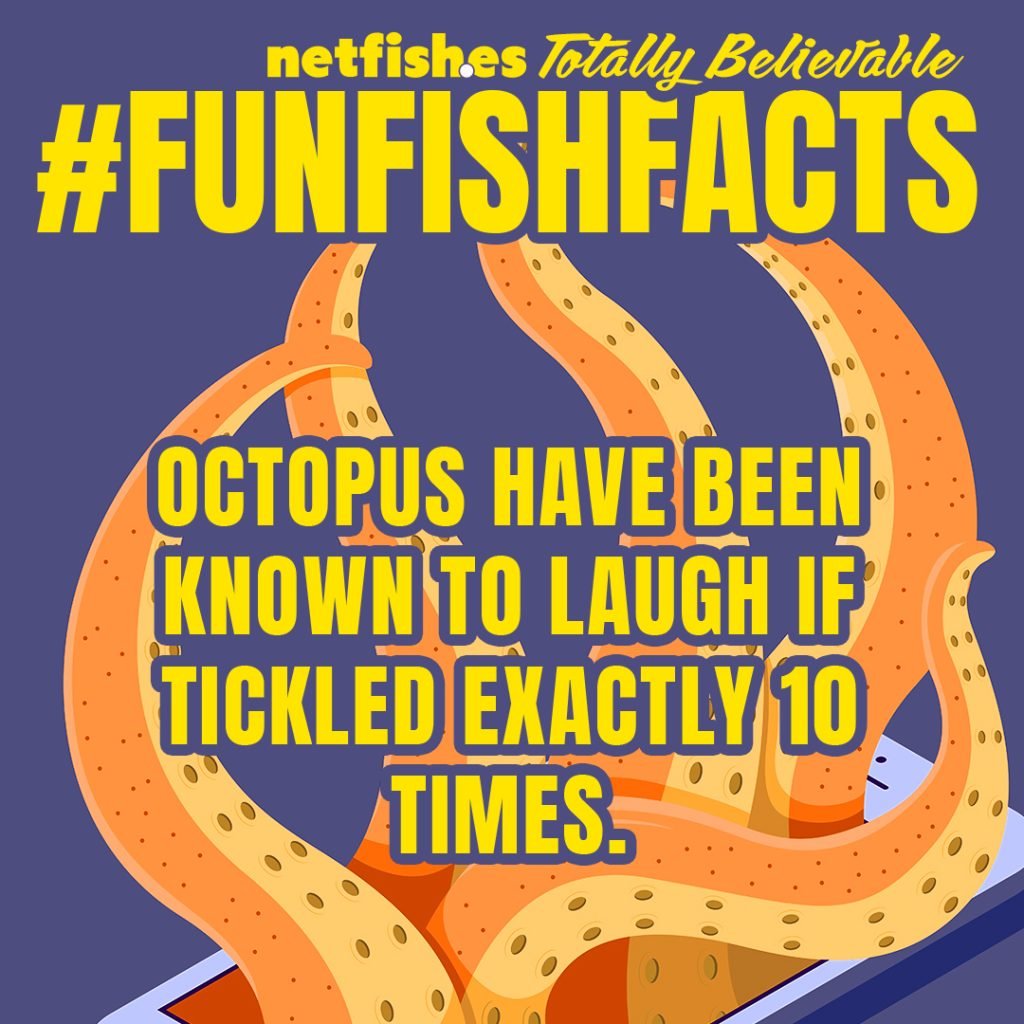 netfishes Totally Believable #funfishfacts. Octopus have been known to laugh if tickled exactly 10 times.