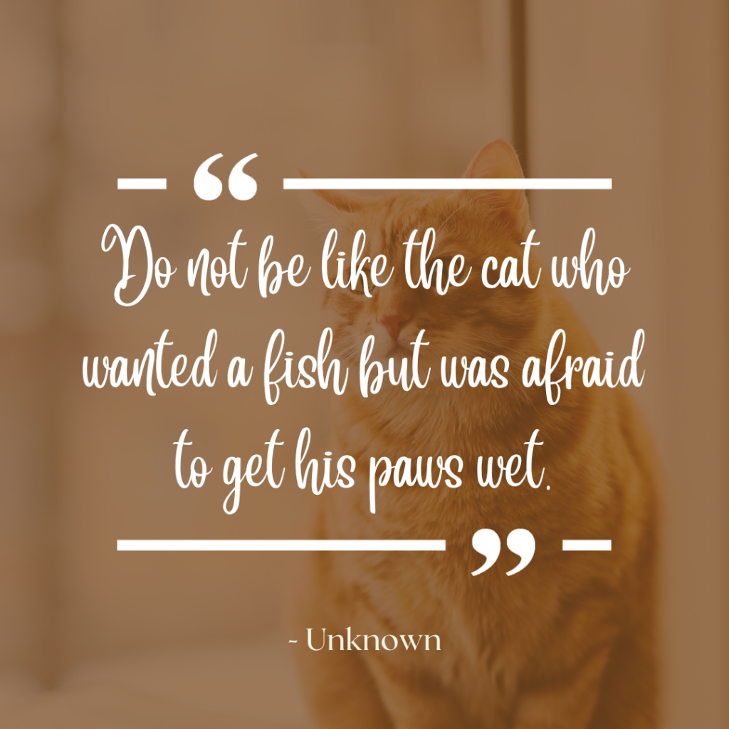 Do not be like the cat who wanted a fish but was afraid to get his paws wet.--unknown
