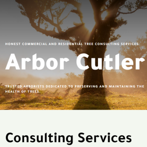 Arbor Cutler Consulting Services